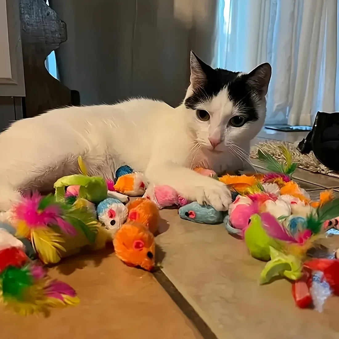 Chat blanc et noir allongé parmi des souris en peluche et jouets à plumes colorés posés sur un carrelage