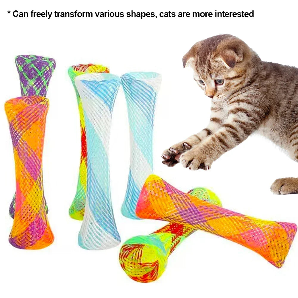 Chat tigré gris tendant la patte vers des tubes ressorts multicolores, étirés, en cône et en anneau