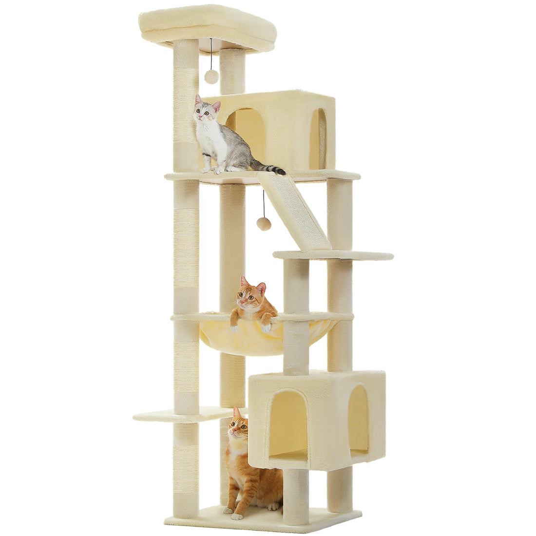 Tour à chat crème sur fond blanc, chaton gris et blanc près de la niche haute