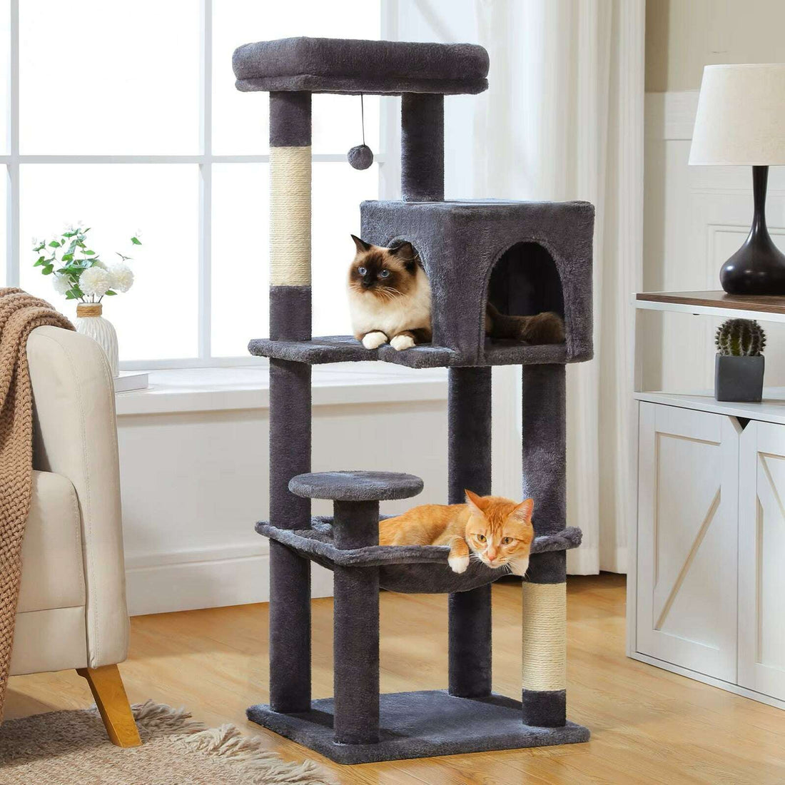 Grand arbre à chat anthracite dans un salon clair, chat ragdoll près de la niche et chat roux dans le hamac
