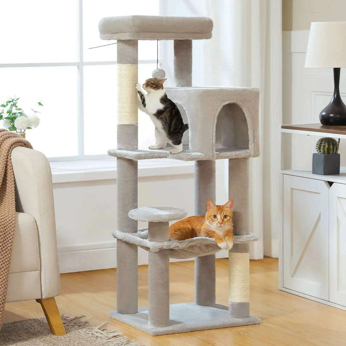 Tour à chat grise dans un salon, chat tigré blanc dressé contre le sisal et chat roux couché dans le hamac