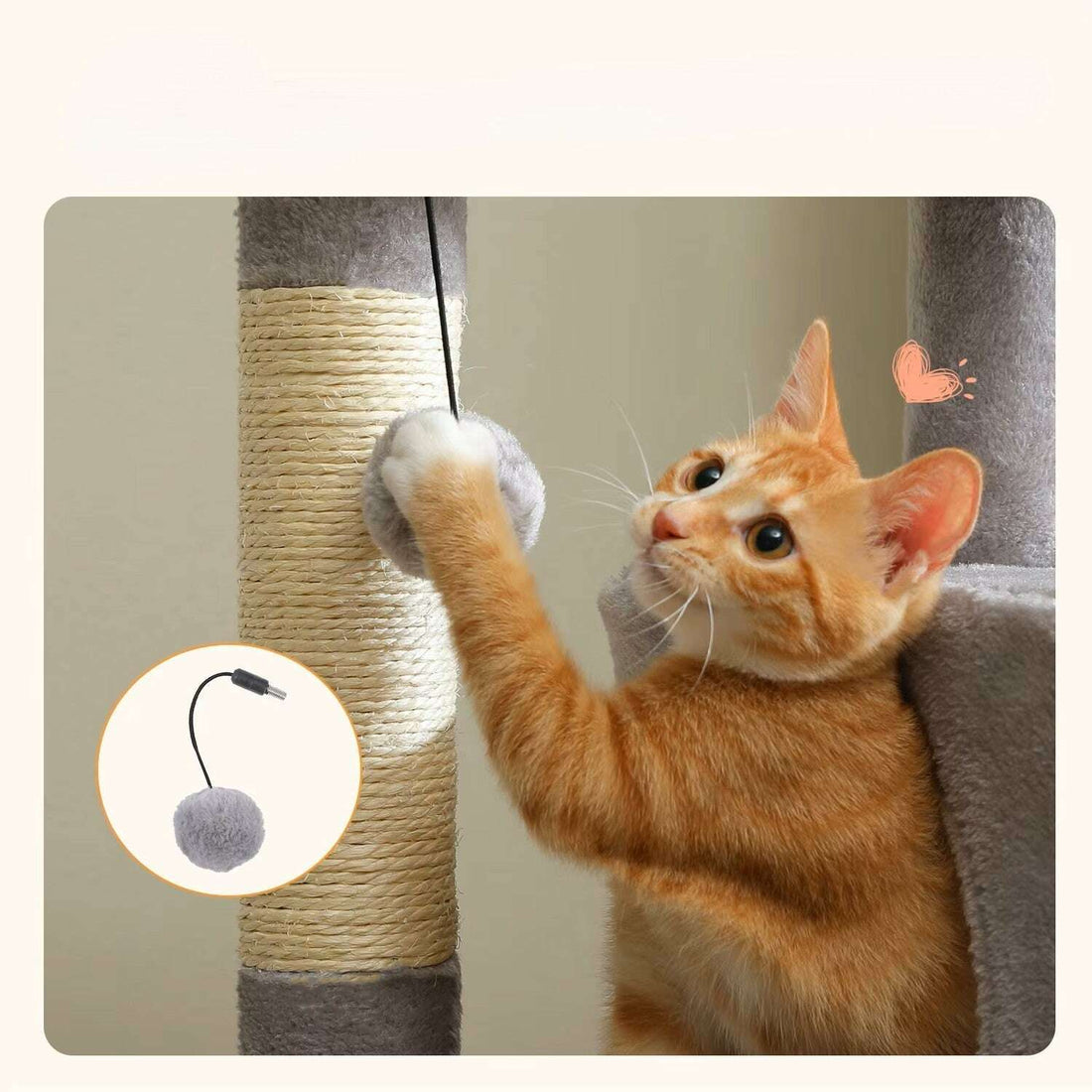 Gros plan sur le pompom suspendu et le poteau en sisal d'un arbre gris, chat roux jouant de la patte