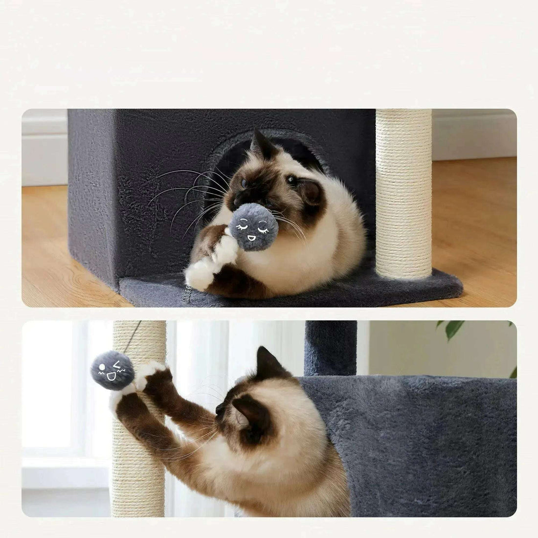 Deux scènes de jeu : un chat siamois attrape la balle en peluche à frimousse puis grimpe au poteau en sisal