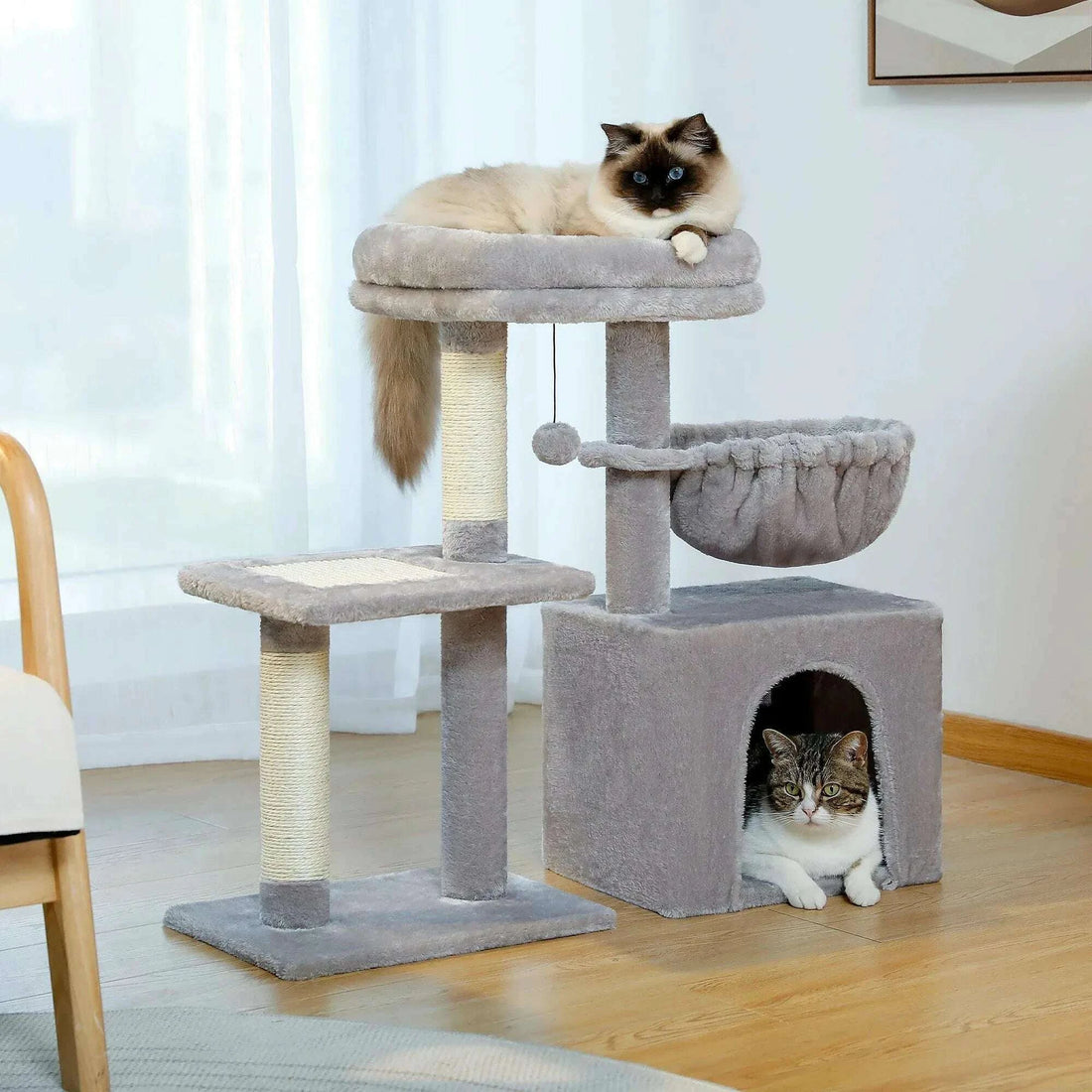 Chat ragdoll allongé sur le plateau supérieur d'un meuble griffoir gris, chat tigré installé dans la niche
