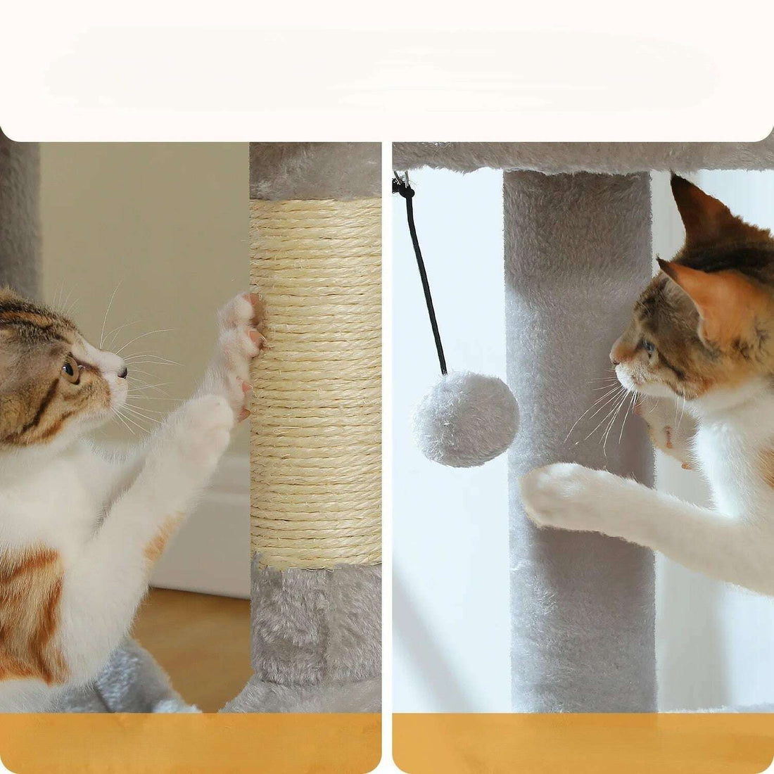 Double close-up: claws on the sisal post on the left, paw on the hanging pompom on the right