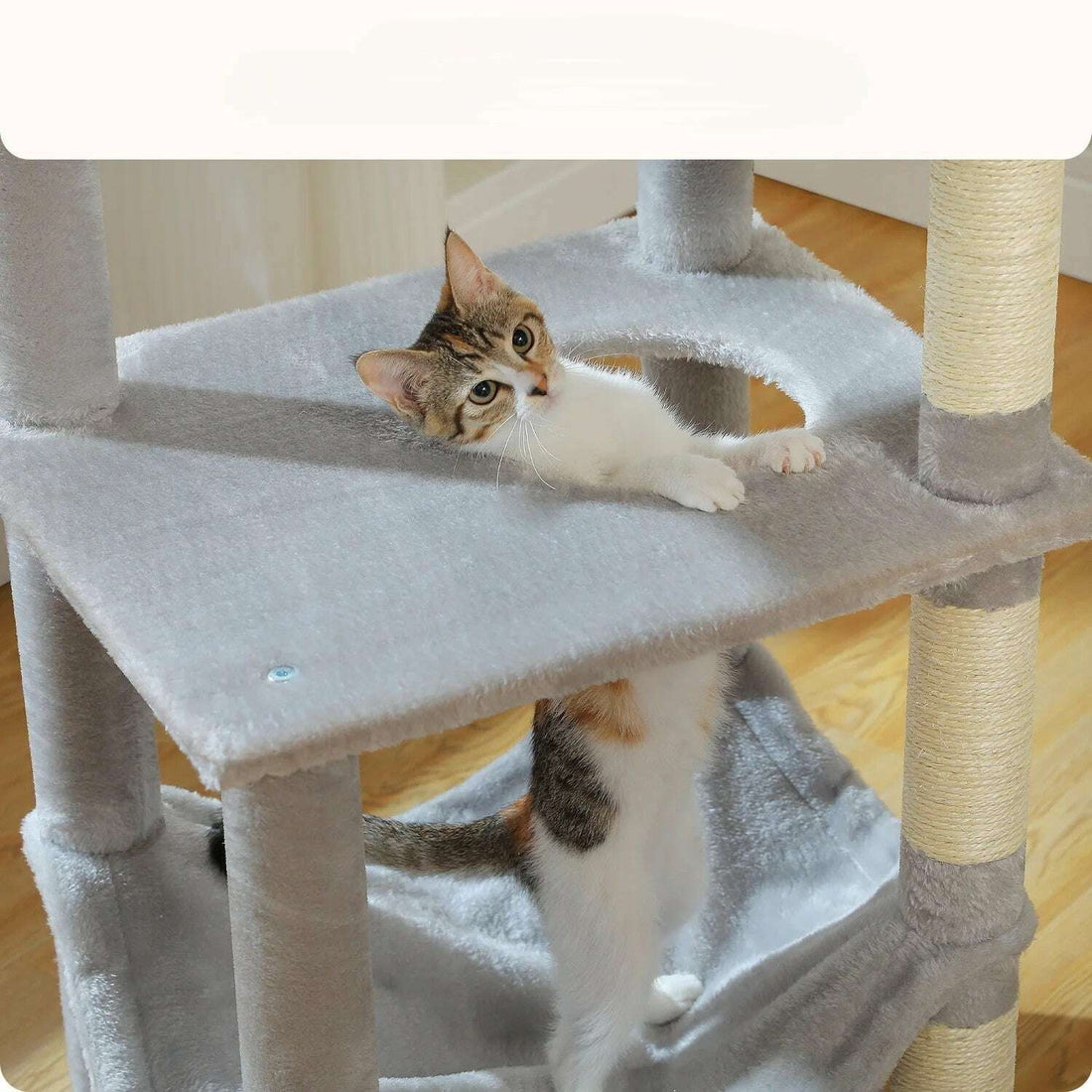 Kitten lying on the gray platform with a cutout, overhead view down to the hammock below
