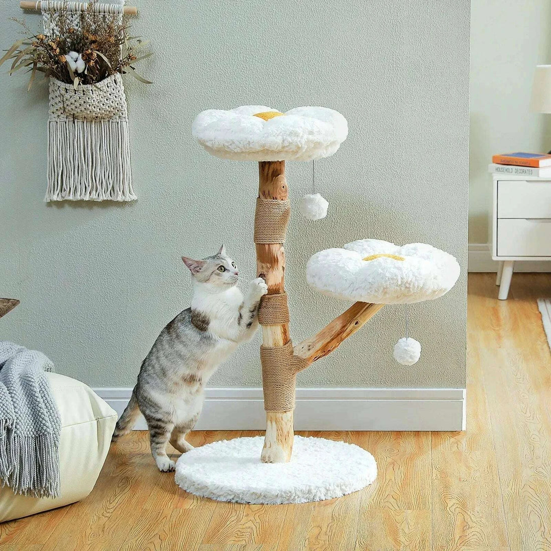 Chat tigré gris et blanc dressé contre le tronc en bois de cet arbre à chat fleur, dans un salon clair au parquet