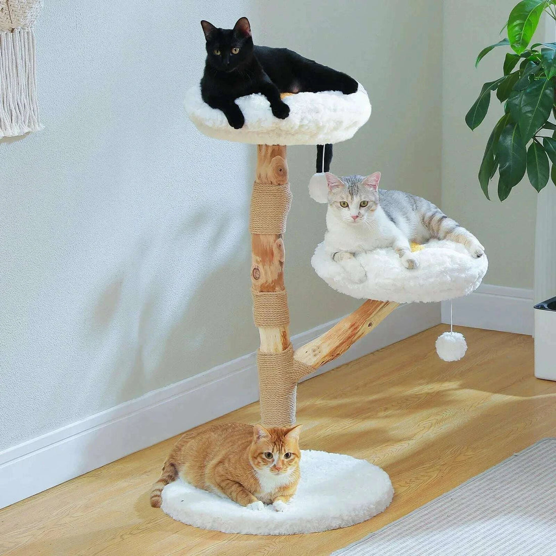 Trois chats installés sur les niveaux de l'arbre à chat en branche de bois : un noir en haut, un tigré au milieu