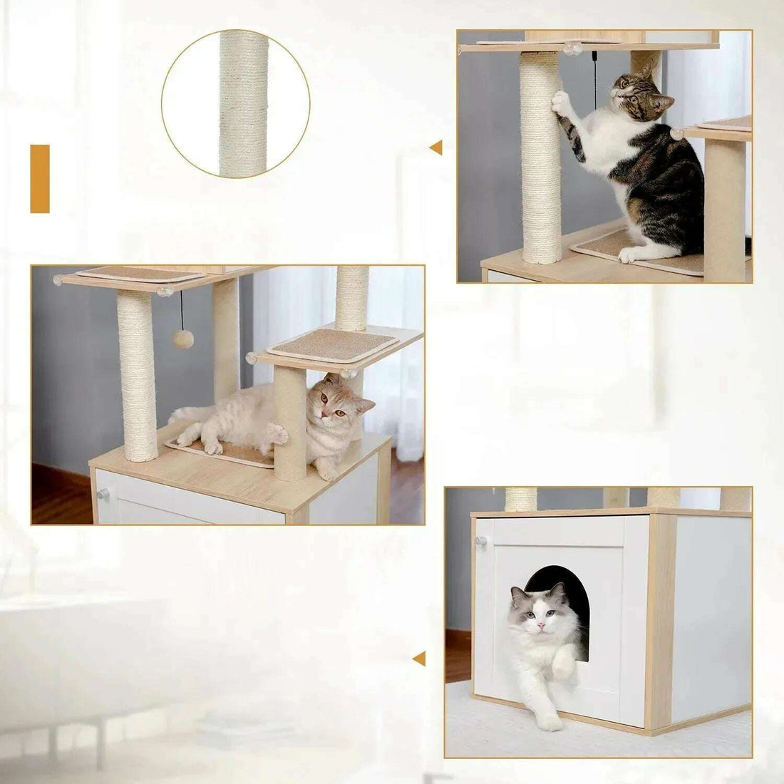 Détails du poteau en sisal, des plateformes à tapis et d'un ragdoll sortant du cache-litière blanc
