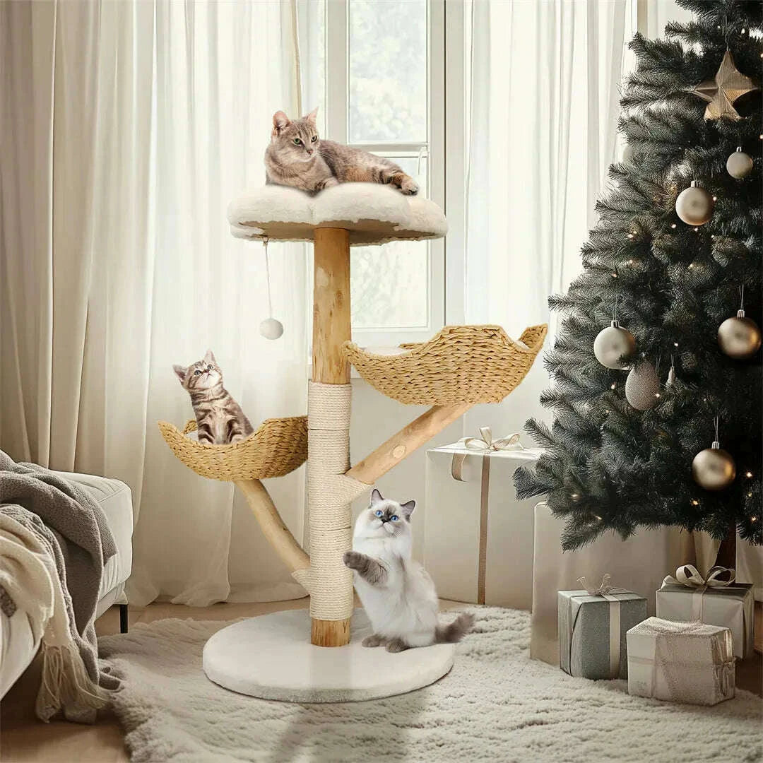 Trois chats jouent sur un griffoir à paniers tressés dans un salon décoré d'un sapin de Noël et de cadeaux