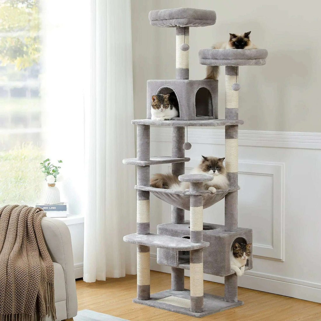 Arbre à chat gris dans un salon près d'un rideau blanc, avec quatre chats installés sur les niveaux