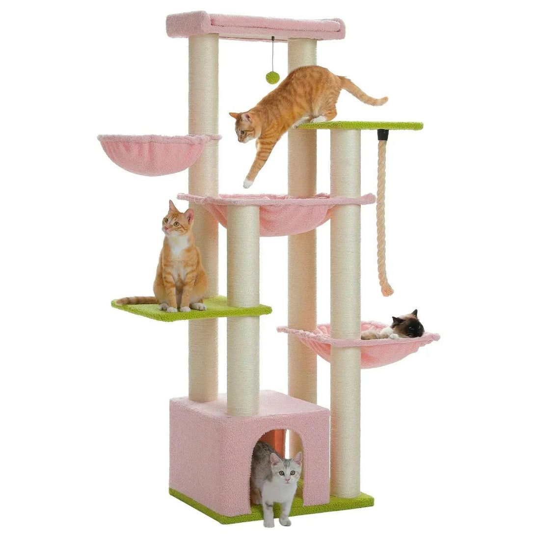 Arbre à chat rose et vert sur fond blanc avec hamacs, niche, plateformes et chats roux qui jouent