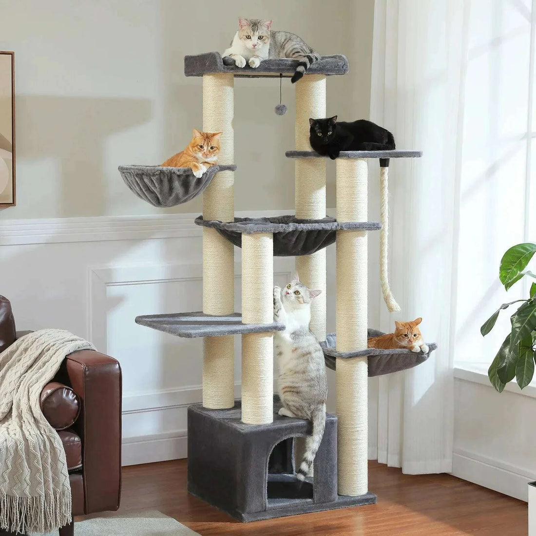 Grand arbre à chat gris dans un salon, chats roux, noir et tigrés perchés sur les plateaux