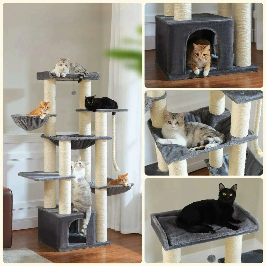 Montage de l'arbre à chat gris : vue d'ensemble, niche, hamac avec chat tigré et plateau du haut