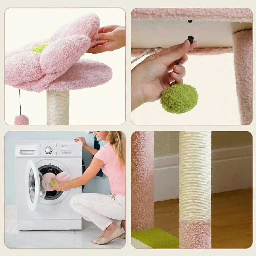 Care & Maintenance
