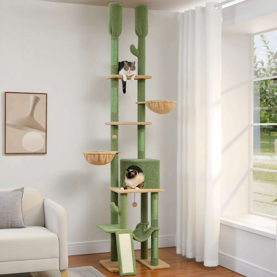 Grand arbre à chat vert contre un mur blanc, un chat tigré sur une plateforme et un ragdoll dans la niche
