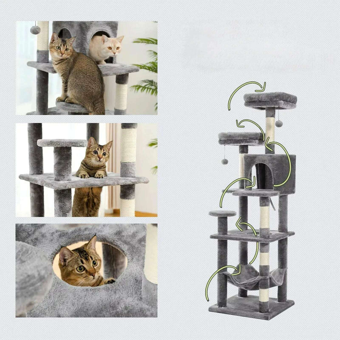 Montage de chats tigrés dans la niche, sur un plateau et à l'ouverture ronde, avec flèches des parcours de saut