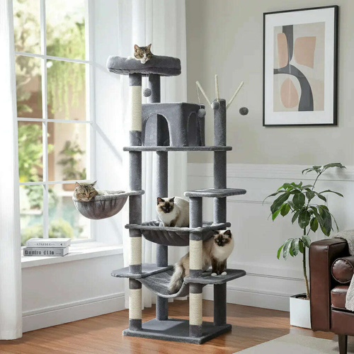 Tour à chat gris foncé près d'une fenêtre, avec chats sur le plateau, dans le panier et sur les hamacs