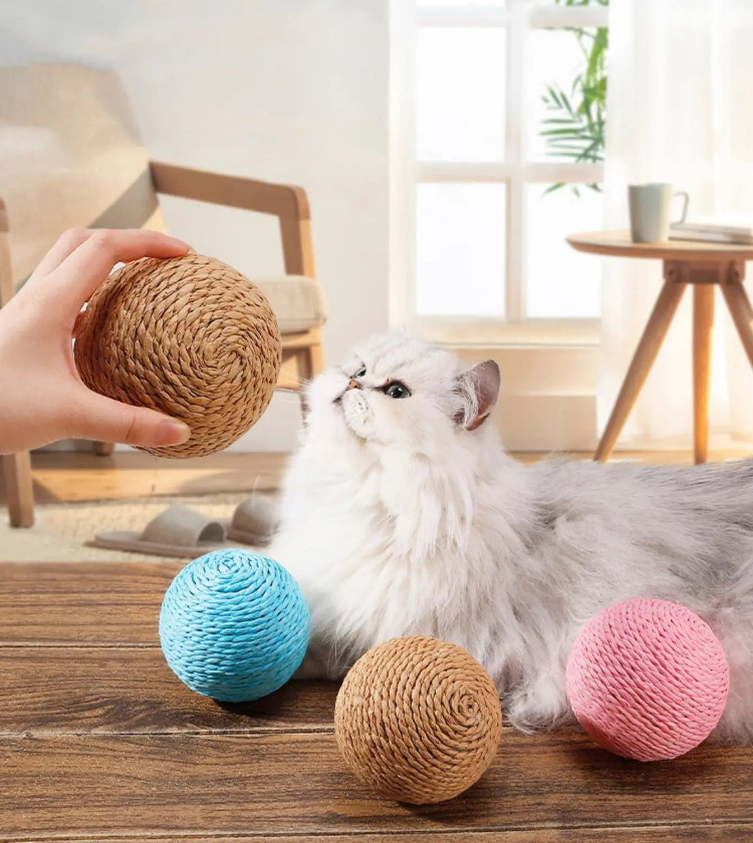 Cat playing with colorful sisal scratching balls