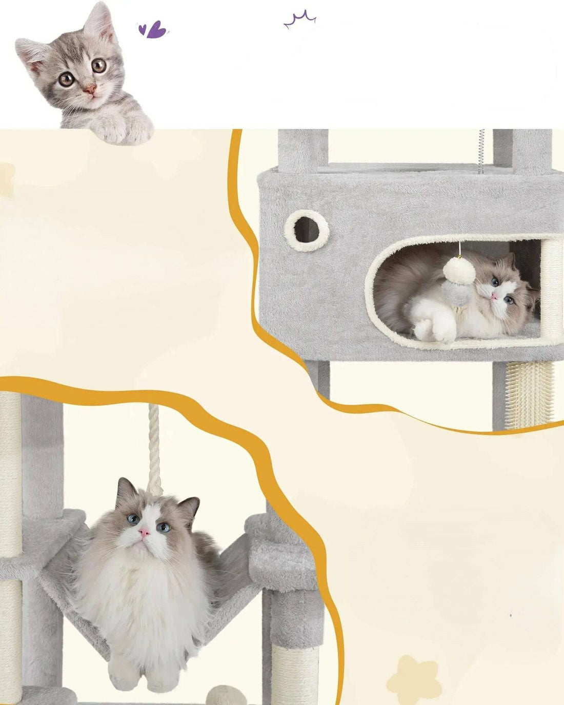 Détail des niches et du hamac d'un arbre à chat gris avec un ragdoll couché et un chaton curieux en haut à gauche
