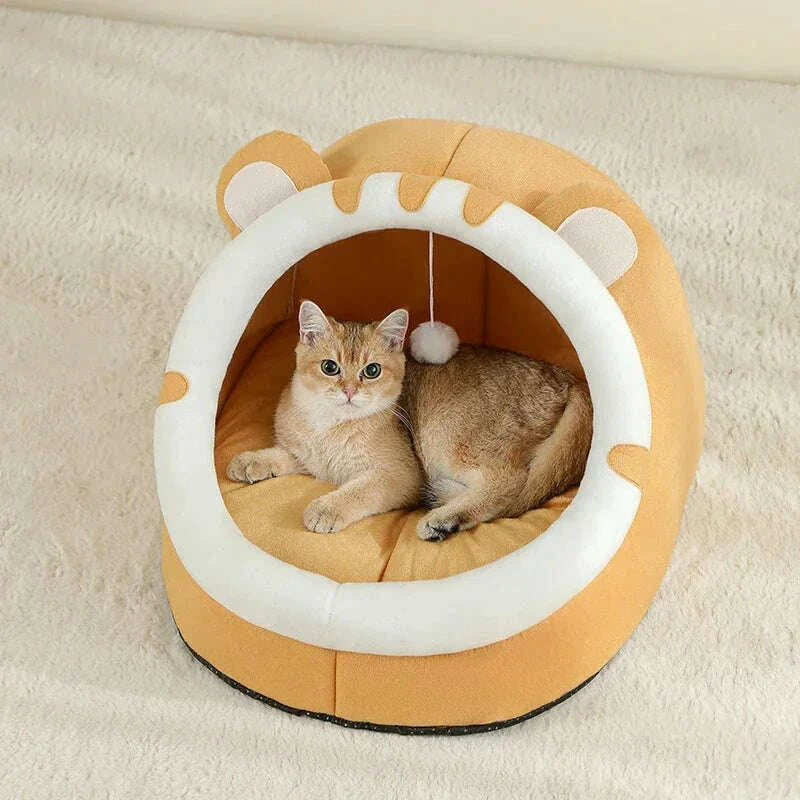 Small cat house, back view