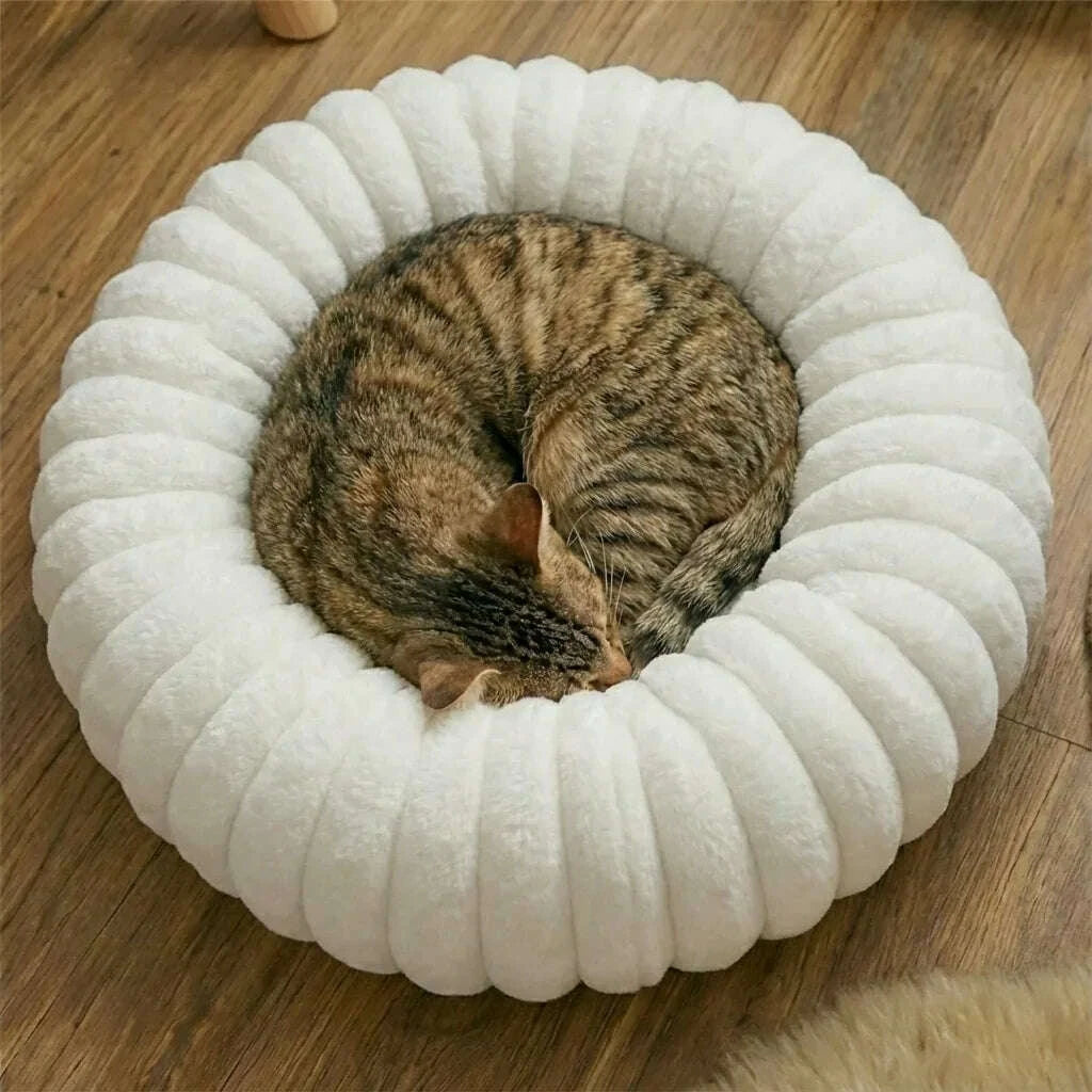 Panier rond pour chat en peluche blanche à bourrelet côtelé, vu de dessus sur fond uni