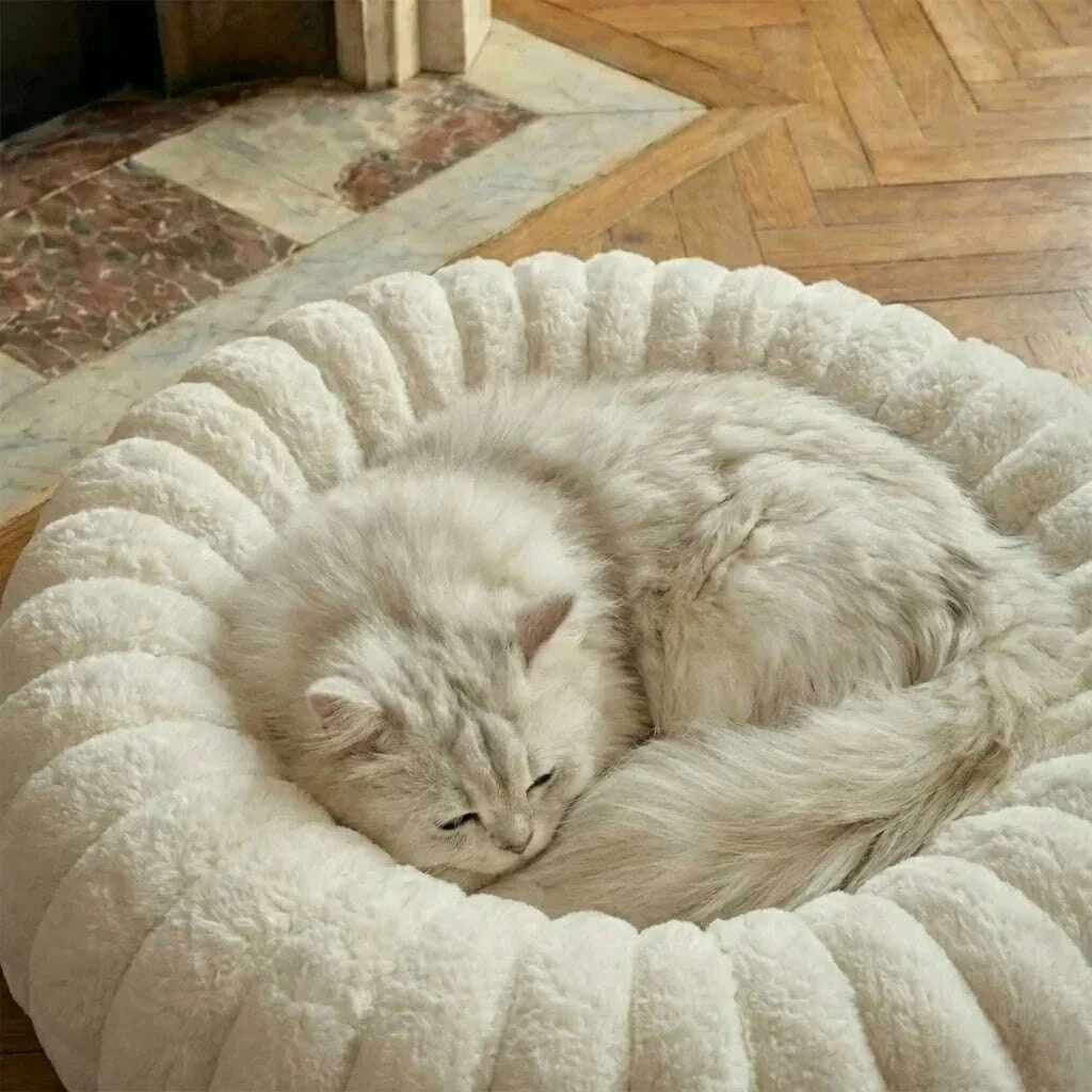 Chat à poil long gris clair dormant dans un coussin rond blanc en fausse fourrure bouclée
