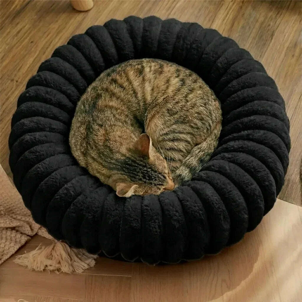 Chat tigré endormi en rond dans un panier moelleux noir, posé sur un parquet en bois près d'un plaid