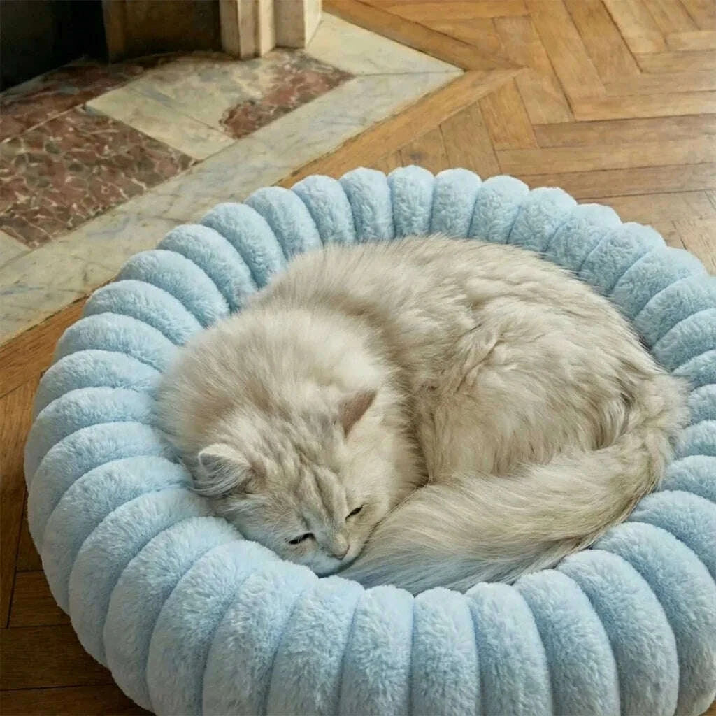 Light blue designer cat bed