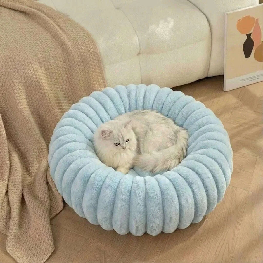 Comfort & Security