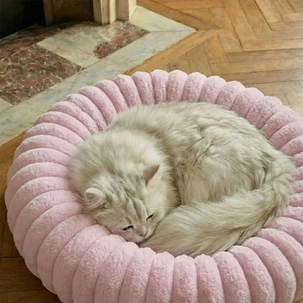 Chat gris clair à poil long dormant dans un nid rose pâle ondulé, sur un parquet en point de Hongrie