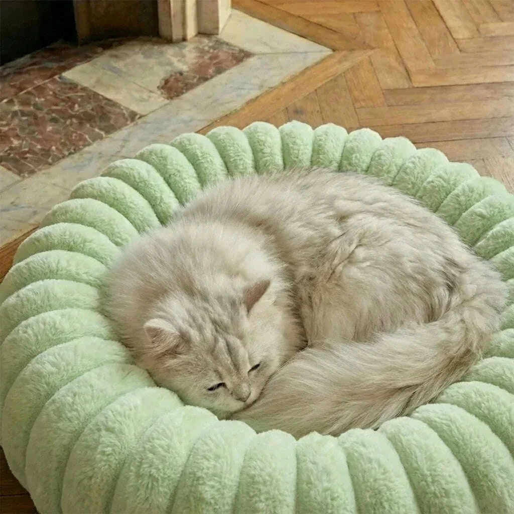 Modern cat bed, light blue