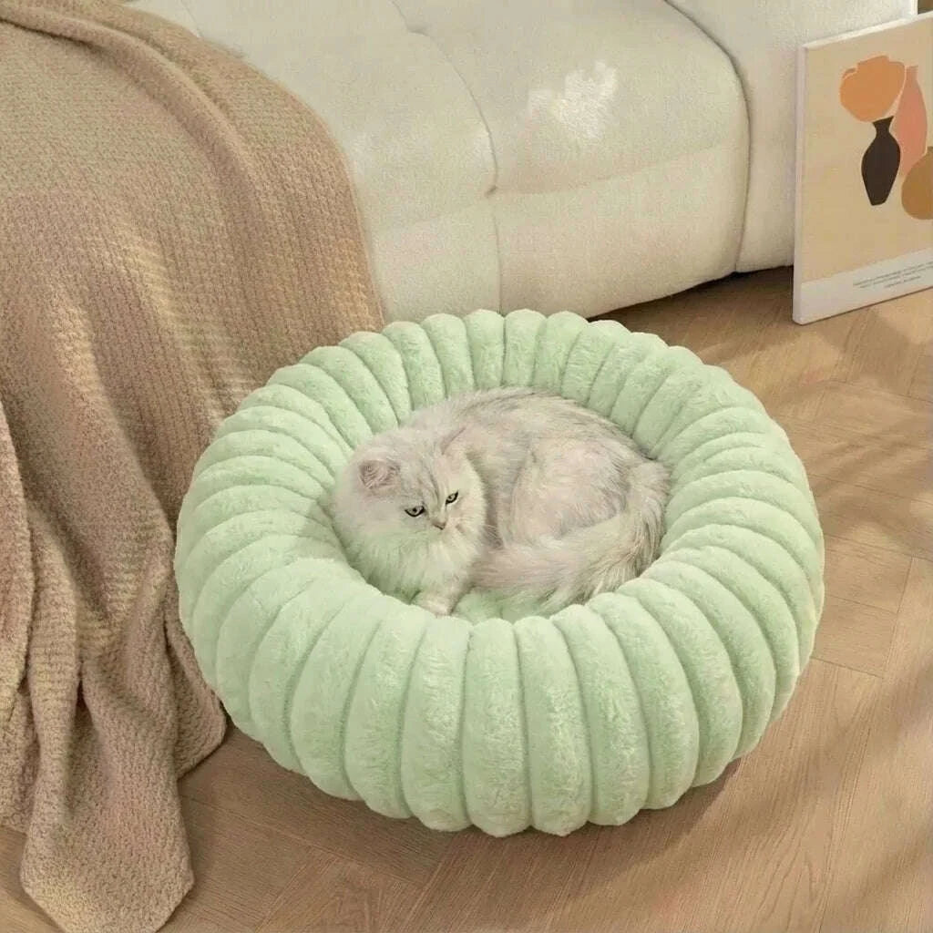 Chat blanc à poil long allongé dans un lit rond vert pastel, près d'un canapé crème et d'un plaid beige