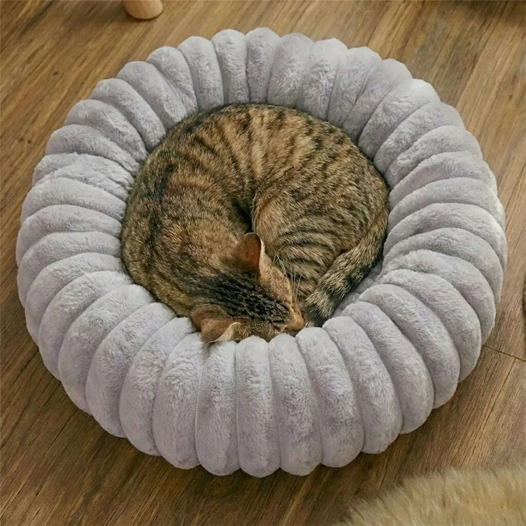 Chat tigré brun roulé en boule et endormi dans un coussin rond gris à bourrelets, sur parquet
