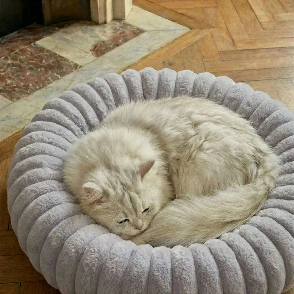 Chat persan crème endormi dans un panier douillet gris clair, posé sur un parquet en chevrons