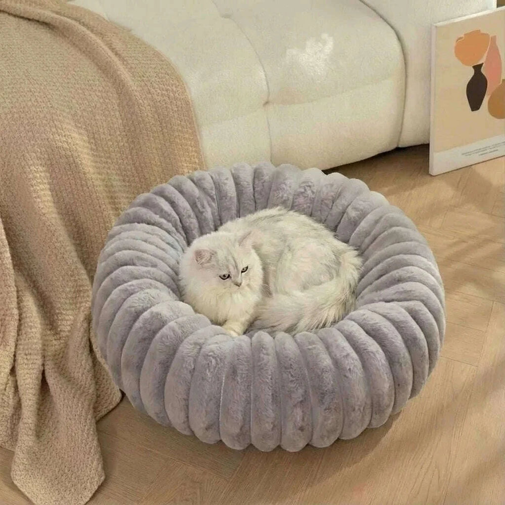 Chat blanc à poils longs couché dans une corbeille moelleuse grise devant un canapé blanc et un plaid beige