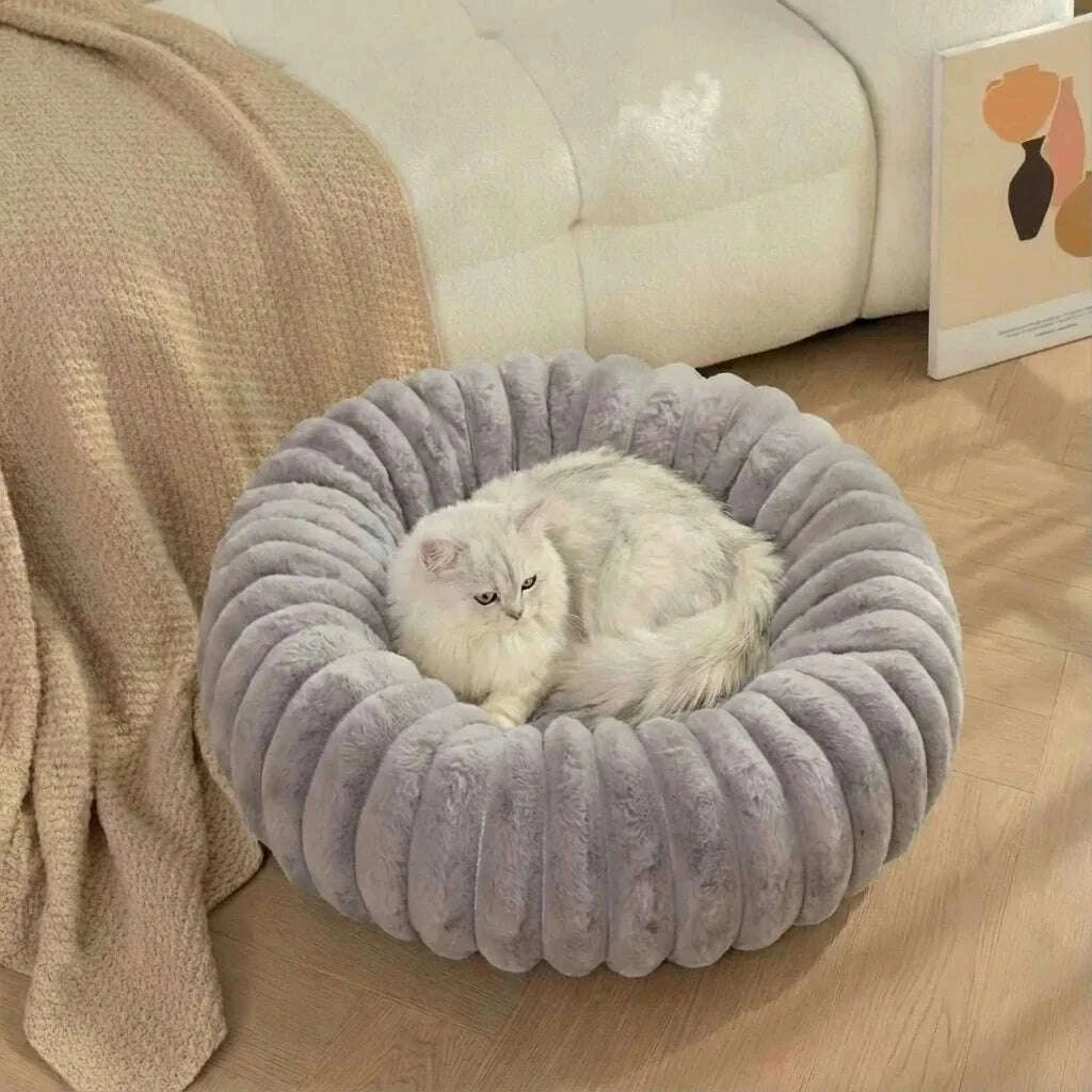 Chat blanc à poils longs couché dans une corbeille moelleuse grise devant un canapé blanc et un plaid beige