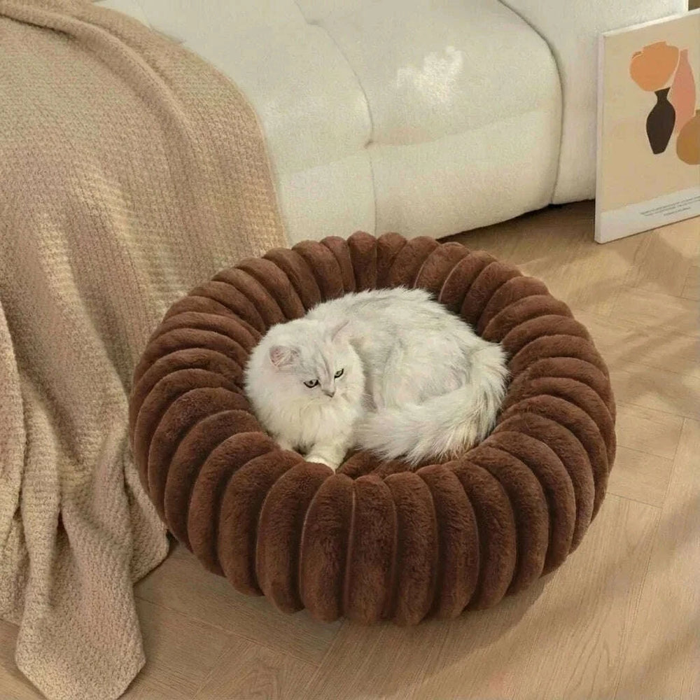 Chat blanc à poil long couché dans un nid douillet marron, devant un canapé crème et un plaid beige