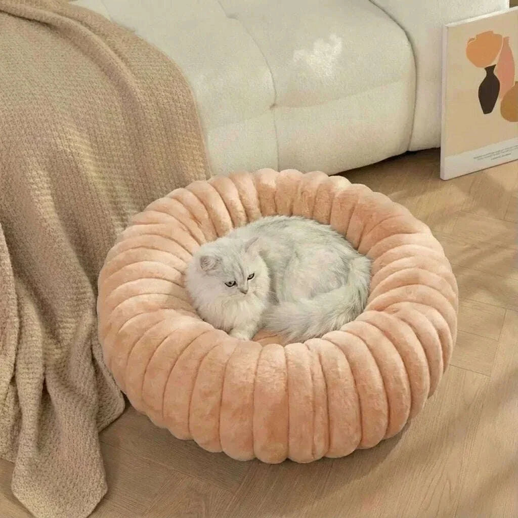 Chat blanc et gris allongé dans une corbeille moelleuse couleur pêche, devant un canapé et un plaid beige