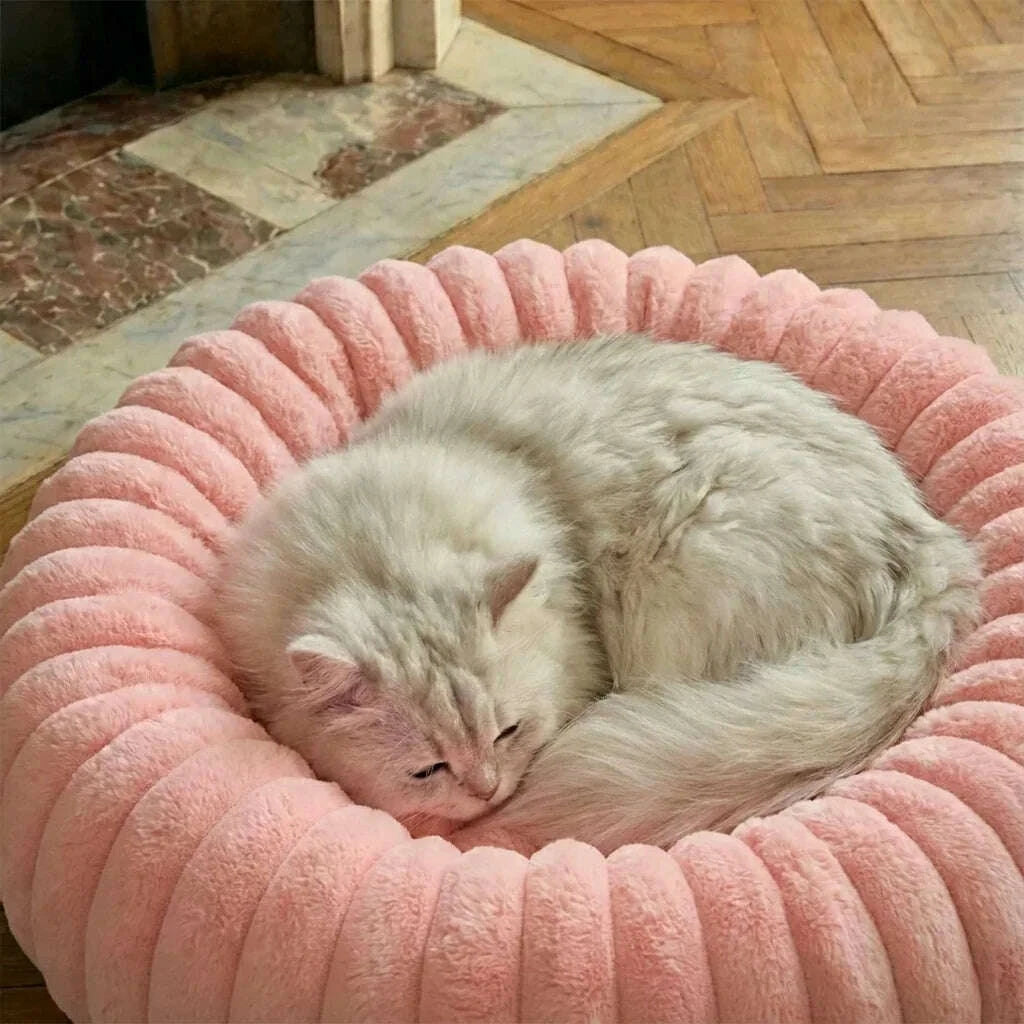 Chat au poil long gris clair dormant lové dans une corbeille rose douce sur un parquet à chevrons
