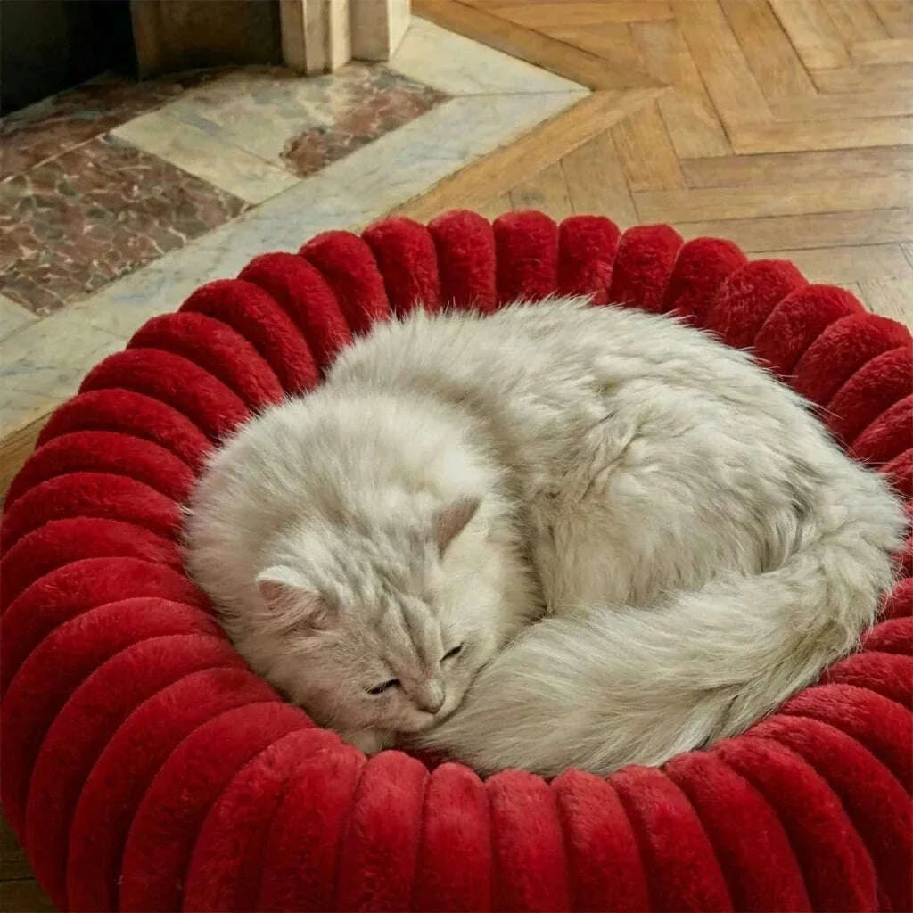 Modern cat bed, light blue