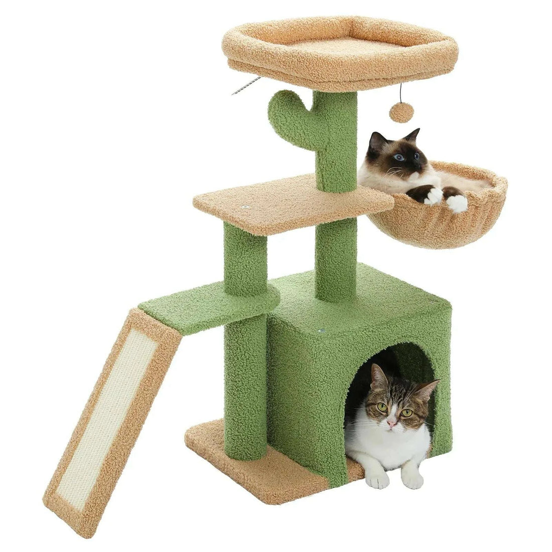 Arbre à chat cactus vert et beige avec un siamois dans le hamac et un chat tigré dans la niche, fond blanc