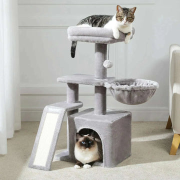 Arbre à chat gris près d'un rideau blanc, chat tigré sur le plateau du haut et chat ragdoll dans la niche