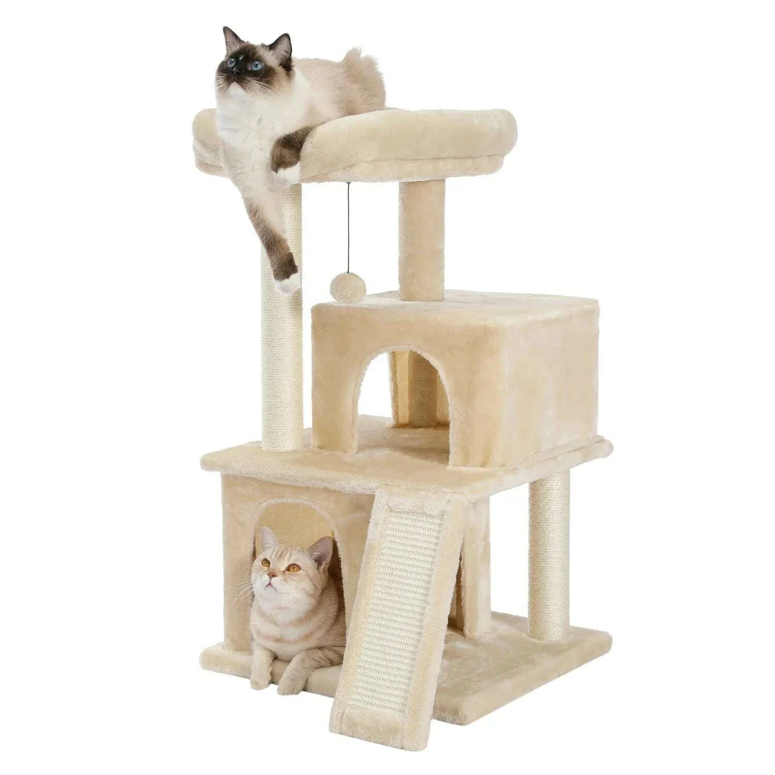 Griffoir sur pied beige à deux étages avec un ragdoll sur le perchoir et un chat roux dans la niche