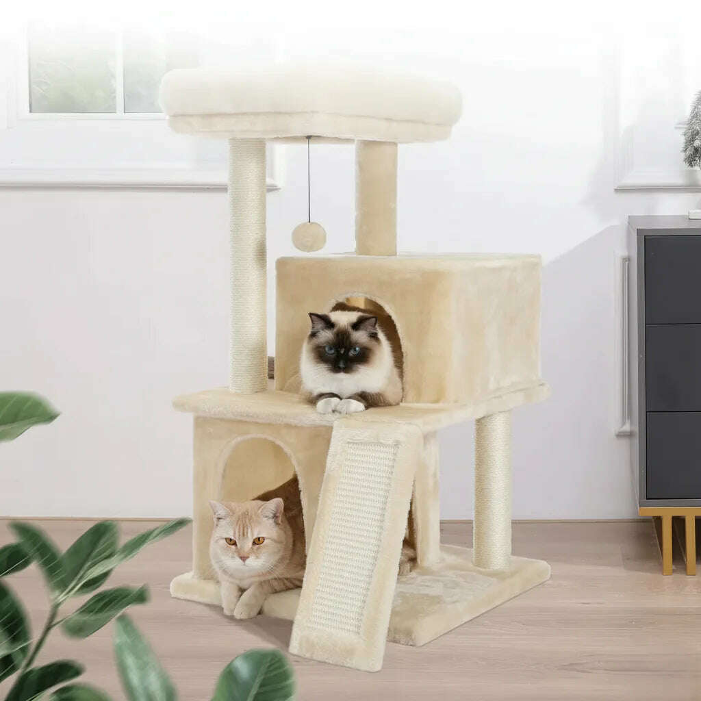 Meuble à chat beige installé près d'une commode, avec un ragdoll dans la niche haute et un chat roux en bas