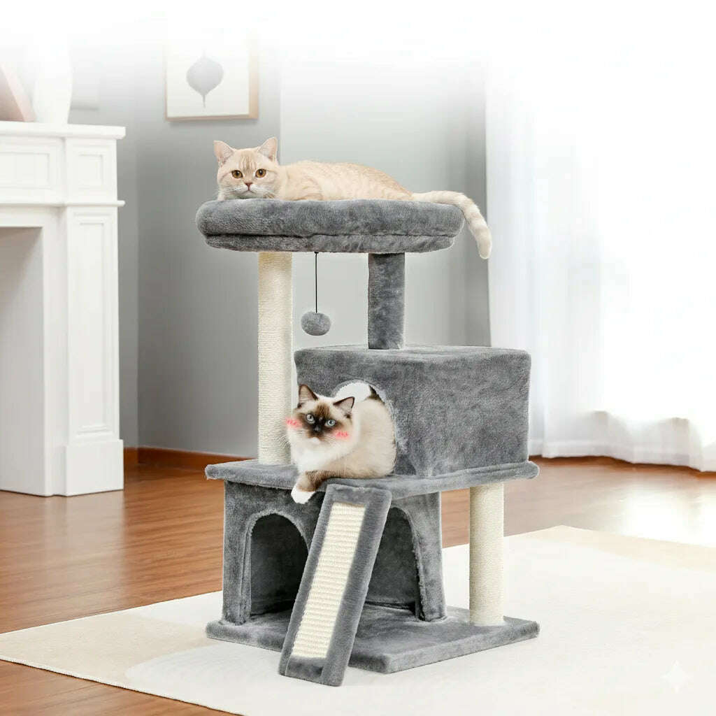 Arbre à chat gris dans un salon, un chat crème allongé en haut et un ragdoll près de la rampe
