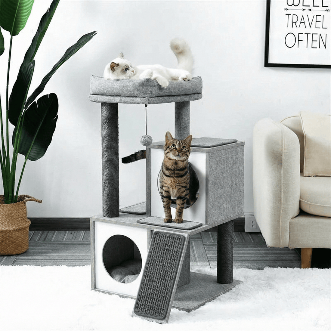 Griffoir à étages gris dans un salon clair, avec un chat tigré sortant de la niche et un chat blanc couché au sommet