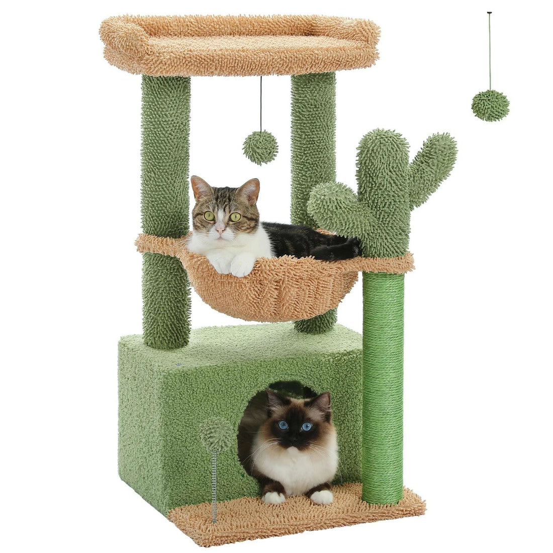 Arbre à chat en forme de cactus vert, hamac et plateforme beiges, chat tigré et chat aux yeux bleus