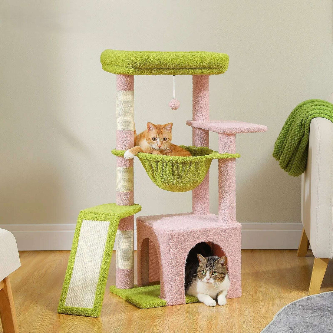 Chat roux couché dans le hamac vert d'un meuble à chat rose, chat tigré sortant de la niche, parquet clair