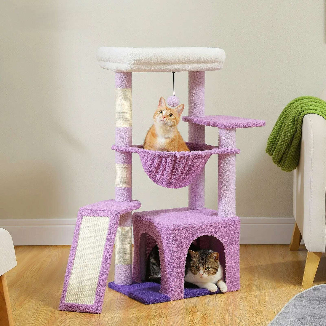 Petit arbre à chat violet dans un salon, chat roux dans le hamac et chat tigré dans la niche